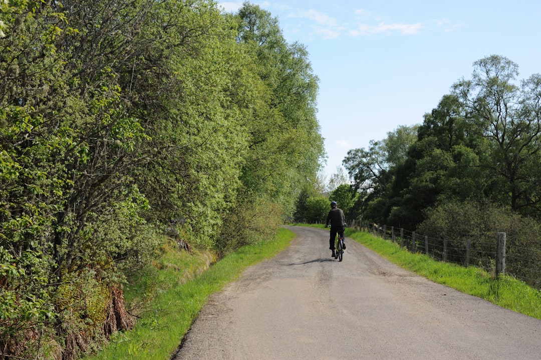 A professionally dressed person stands at a fork in the road, contemplating which path to take, illustrating the strategic choice between DIY SEO and hiring a professional.